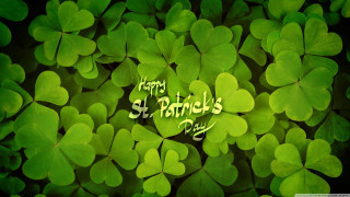 Green shamrocks happy st patricks - the middle free wallpaper
