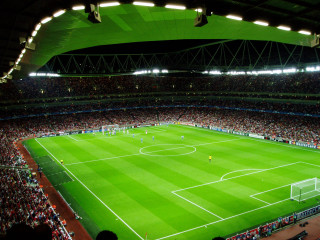 Soccer stadium green field people - plasticien free wallpaper