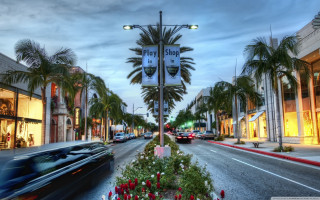Key blvd palm trees street - elbridge ayer burbank free wallpaper