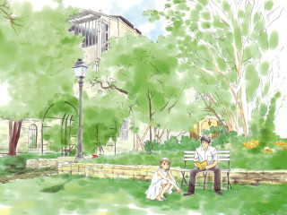 Man woman bench park tree 3 - a man and woman free wallpaper