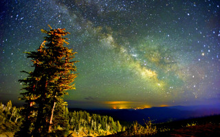 Tree field night sky stars 2 - night sky free wallpaper