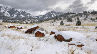 Snowy landscape mountains snow ground - grass and bushes free wallpaper
