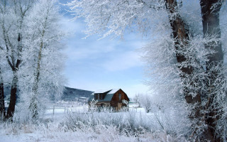 Cabin woods snow trees mountain - a cabin free wallpaper