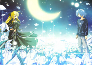 Anime flowers fullmoon night gothic - a field of flowers free wallpaper