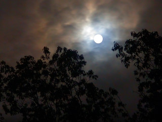 Sun shining clouds sky trees - full moon free wallpaper