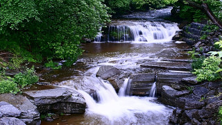Small waterfall forest bench stream - a small waterfall in a forest free wallpaper