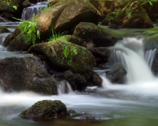 Stream water rocks forest green - long exposure free wallpaper