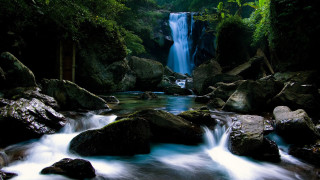 Waterfall forest rocks flowing water - rock and water free wallpaper