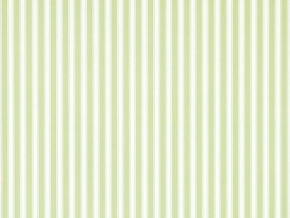 White wall green stripe vase - a white vase free wallpaper