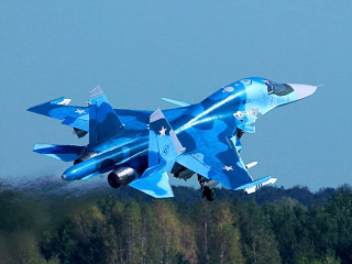 Blue fighter jet flying trees - blue sky free wallpaper