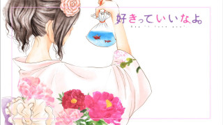 Woman holding vase flowers fish - a vase free wallpaper