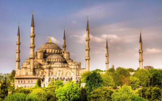 Large building spires forest trees - the middle of a forest area free wallpaper