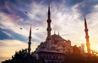 Large building bird flying sunset - altoon sultan free wallpaper for desktop