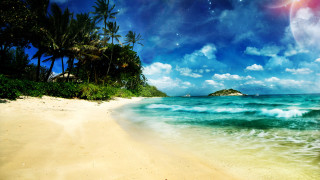 Beach palm trees sky stars - sandy free wallpaper