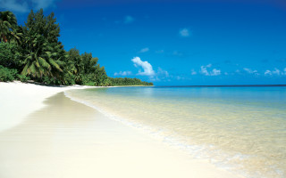 Beach palm trees ocean sand - a white sand beach free wallpaper