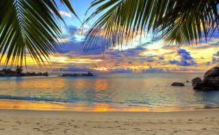 Beach palm tree sunset rock 2 - beautiful scenery free wallpaper for desktop