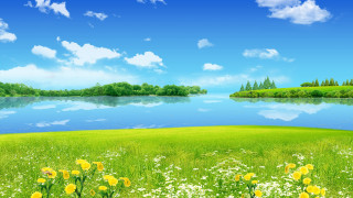 Beautiful green field flowers lake 2 - a painting free wallpaper