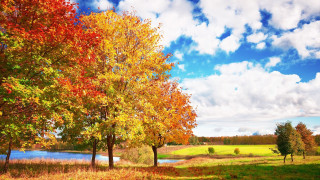 Field trees lake clouds autumn - impressionist free wallpaper