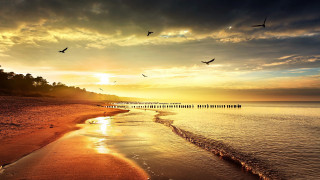 Beach birds sunset pier distance - over the water free wallpaper