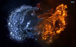 Fire water bird flame aqua - fantasy art free wallpaper