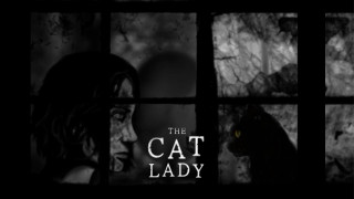 Cat lady looking out window - serial free wallpaper
