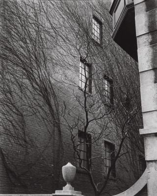 Building tree lamp post front - free halloween wallpaper