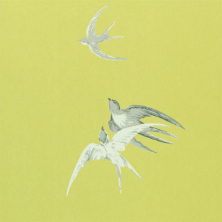 Birds flying wings feathers angel - bird free wallpaper