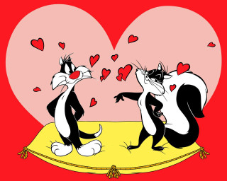 Cats pillow heart wallpaper love - one cat free wallpaper