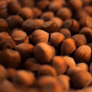 Nuts table blurry background macro - a blurry background free wallpaper