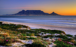 Beach mountain sunset pinkflower blueocean - a pink flower in the foreground free wallpaper