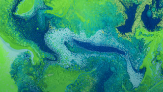 Green blue water bubbles painting - organic free wallpaper