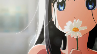 Girl flower hand blurry background - a flower free wallpaper