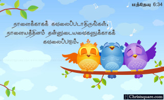 Three birds sitting branch quote - three bird free wallpaper