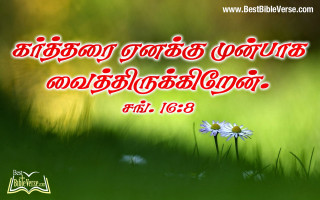 Flower bible verse foreground bamboo - 16k free wallpaper