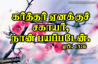 Quote flower image language says - hurufiyya free wallpaper