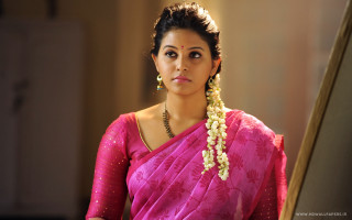 Woman pink sari flower hair - a pink sari free wallpaper
