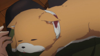 Dog laying head person hand - eye closed free wallpaper