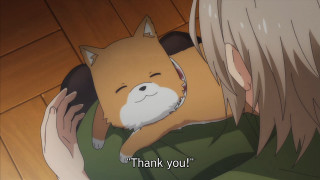 Woman holding cat thank you - dan content free wallpaper
