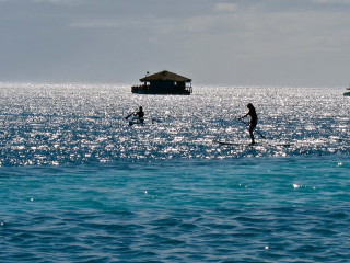Couple surfboards water house background - claire dalby free wallpaper