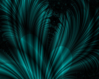 Blue black background large flower - smaller free wallpaper