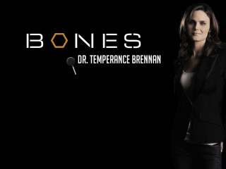 Woman black jacket white shirt 2 - white shirt free wallpaper