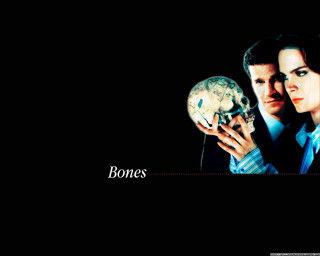 Man woman holding skull caption - a skull free wallpaper