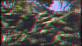 Bird flying lush green forest 3 - chromatic free wallpaper