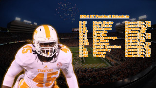 Football player white orange uniform - poster free wallpaper