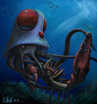 Giant octopus helmet squid background - fantasy art free wallpaper