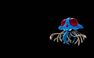 Blue red jellyfish floating dark - jellyfish free wallpaper
