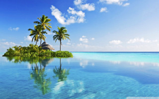 Tropical island palm trees hut 4 - palm tree and a hut free wallpaper
