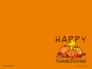 Happy thanksgiving cat pumpkin card 2 - a happy thanksgiving free wallpaper