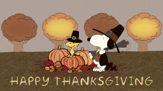 Cartoon dog pilgrim pumpkin hat - a cartoon dog free wallpaper