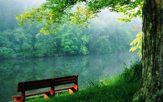 Bench tree lake forest foggy 2 - foggy sky above free wallpaper